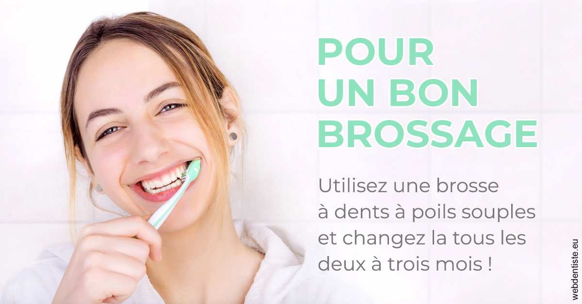 https://selarl-cabinet-orthodontie-mh-preve.chirurgiens-dentistes.fr/Pour un bon brossage 2