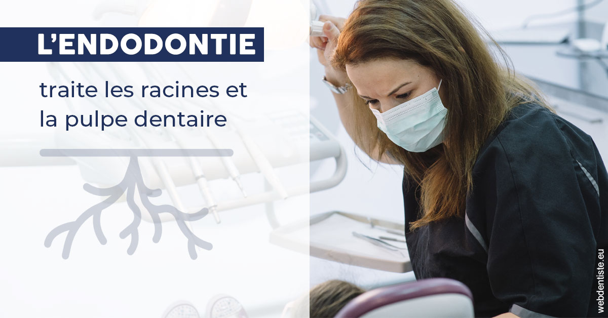https://selarl-cabinet-orthodontie-mh-preve.chirurgiens-dentistes.fr/L'endodontie 1