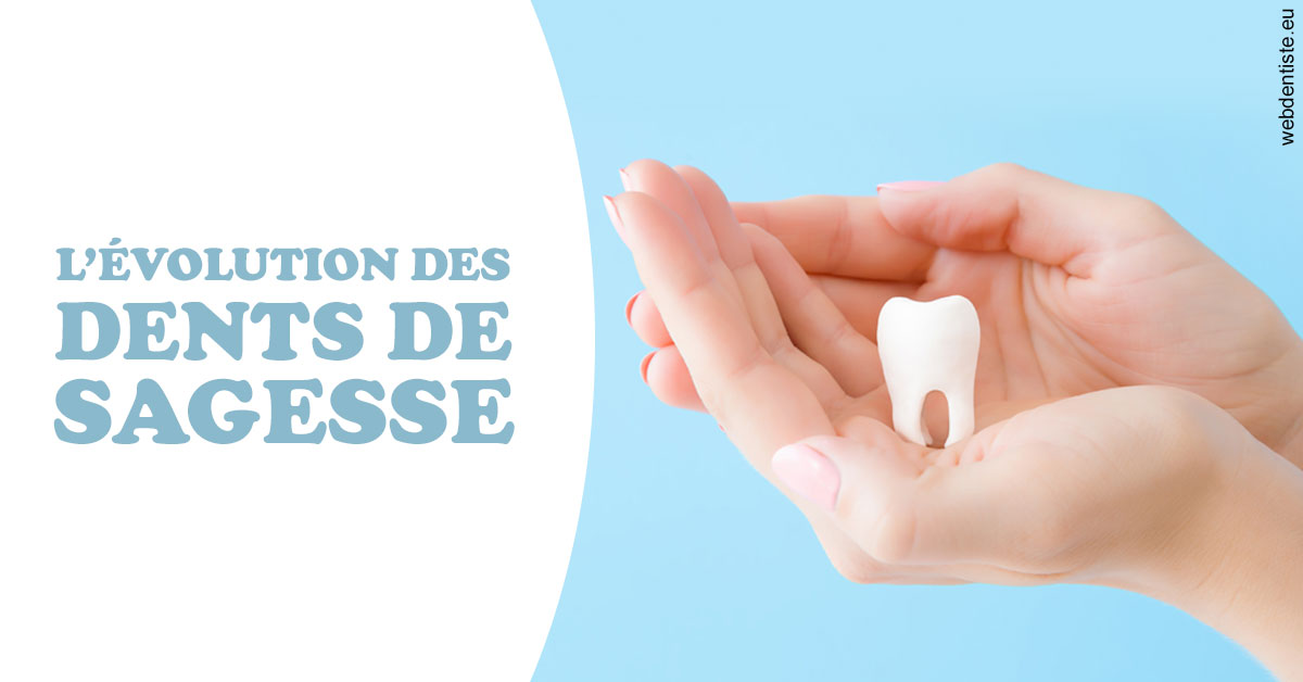 https://selarl-cabinet-orthodontie-mh-preve.chirurgiens-dentistes.fr/Evolution dents de sagesse 1